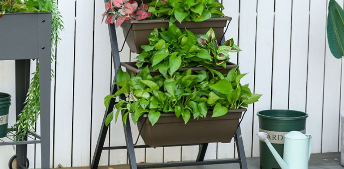 Plant Stands